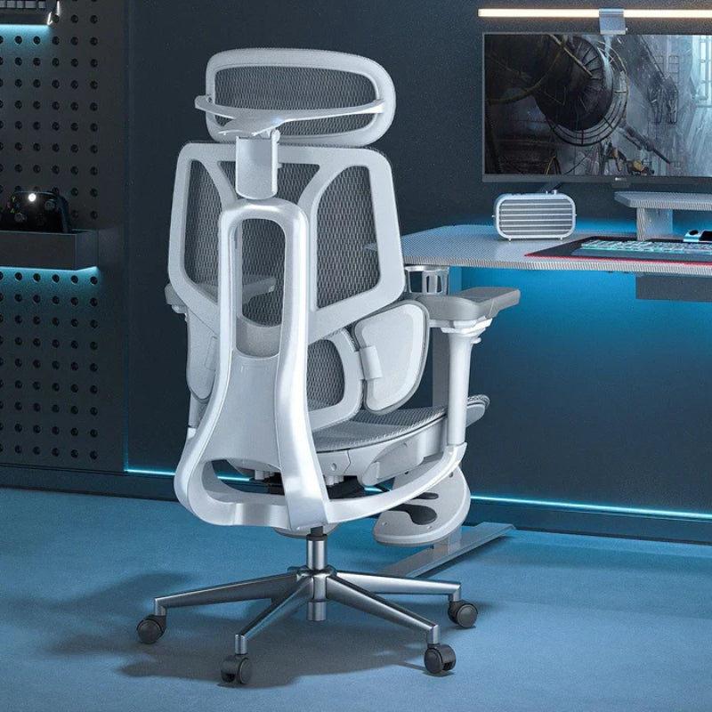 Ergonomic Black White Chair